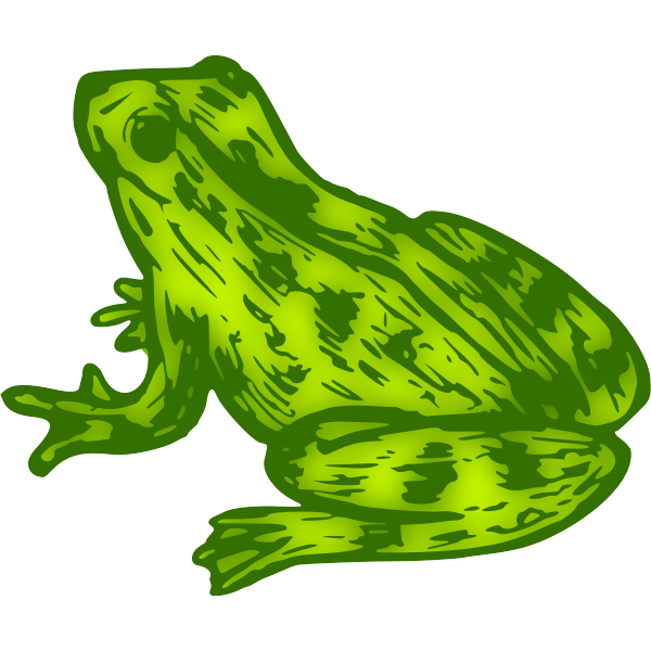 SVG Frog 9 Colour