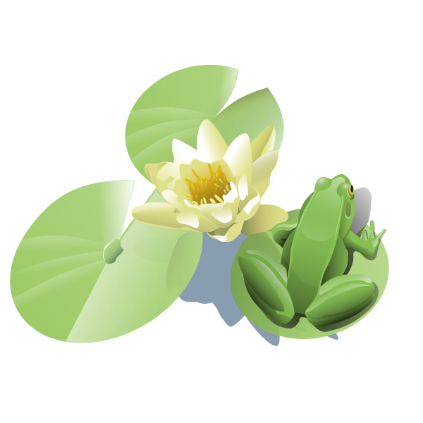 SVG Frog on a lily pad vector
