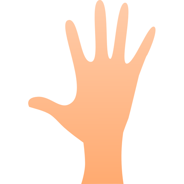 SVG FX13 hand