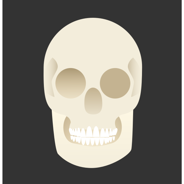 SVG FX13 skull