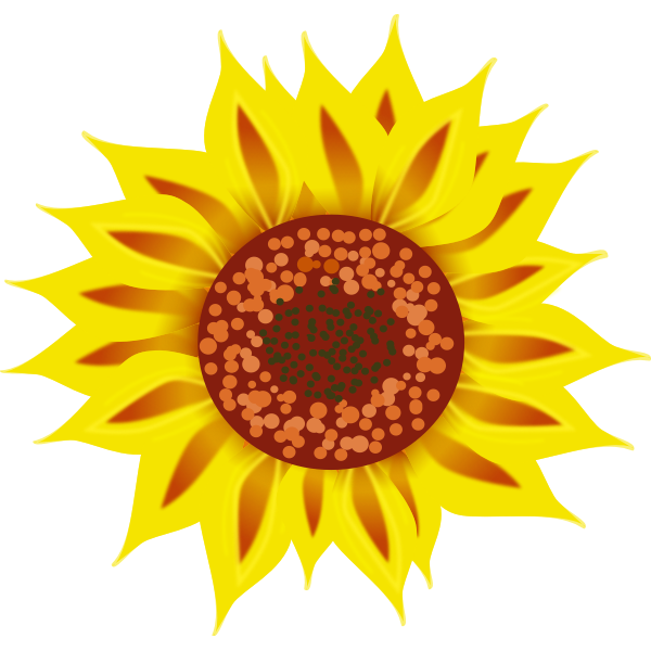SVG FX13 sunflower