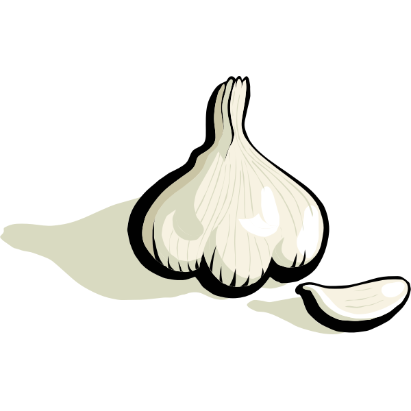 SVG Garlic vector clip art