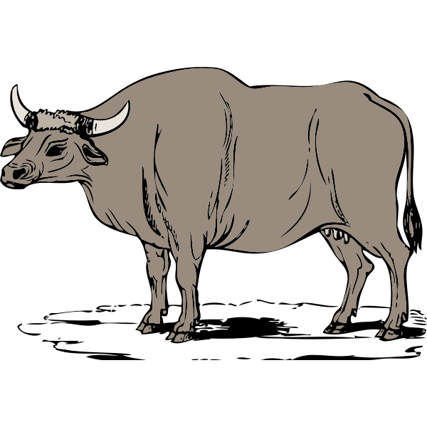 SVG Gaur