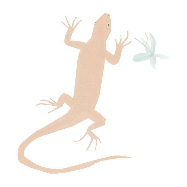 SVG Gecko reptile silhouette