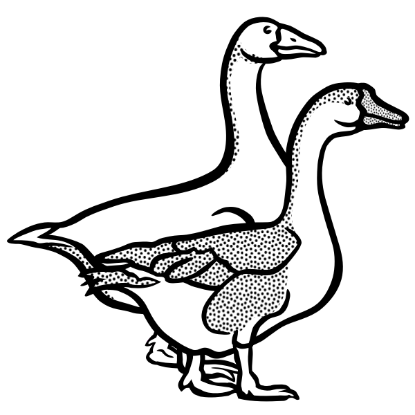 SVG Geese from coloring book