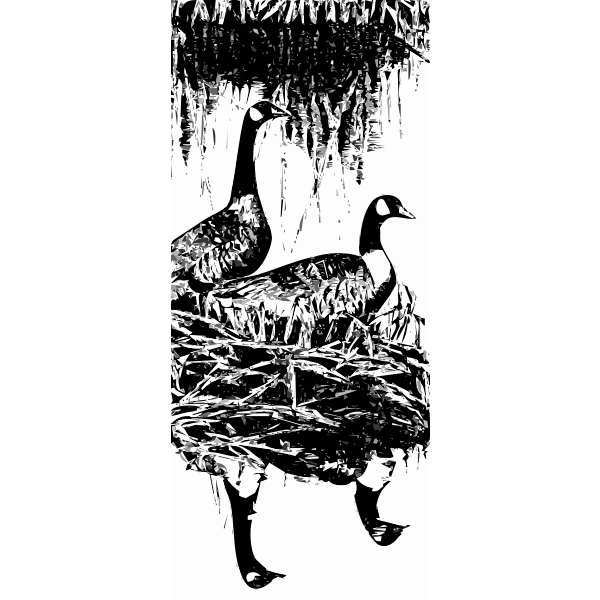 SVG Geese vector image