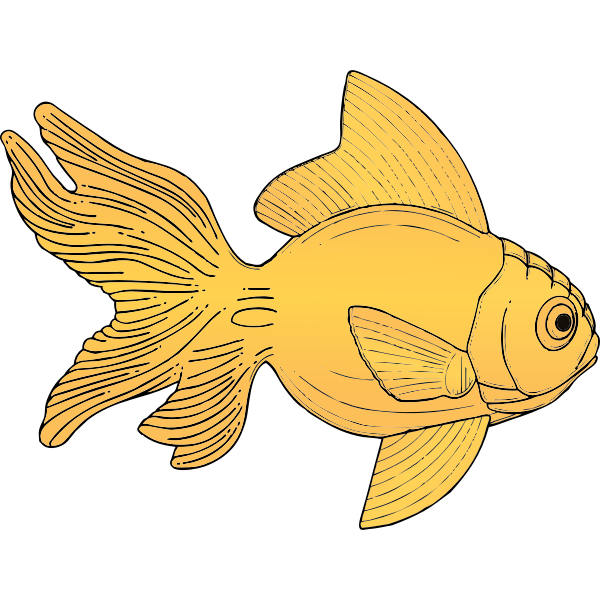 SVG Generic orange fish vector illustration