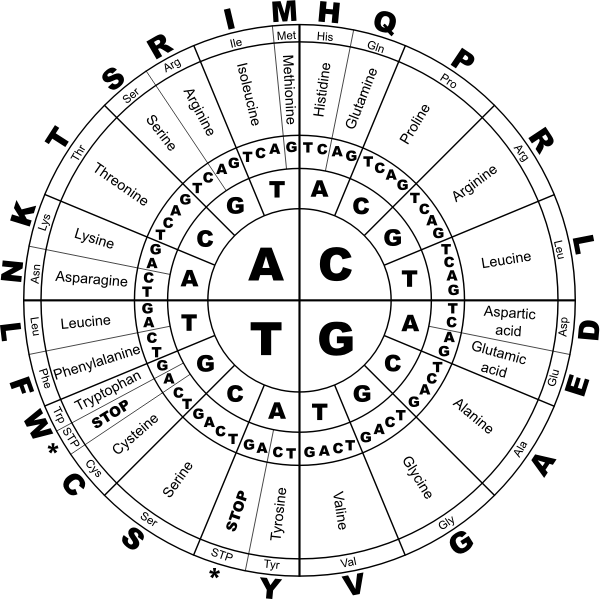SVG Genetic code BW vector illustration