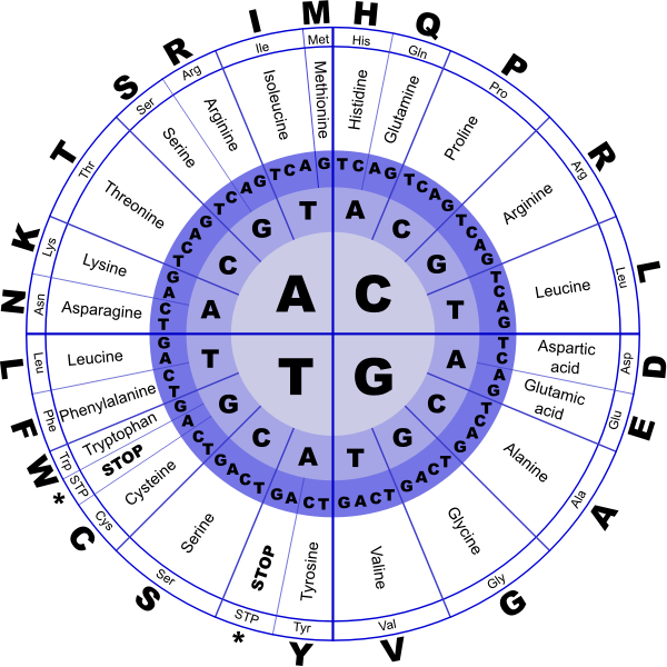 SVG Genetic code vector image