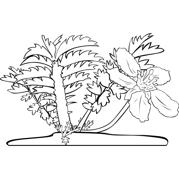 SVG GG Potentilla anserina