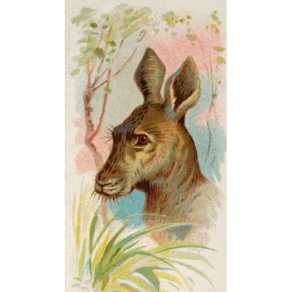 SVG Giant kangaroo