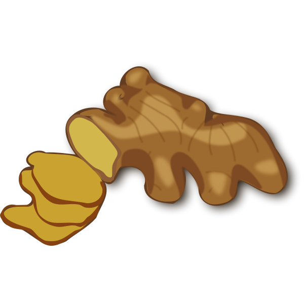 SVG Ginger root