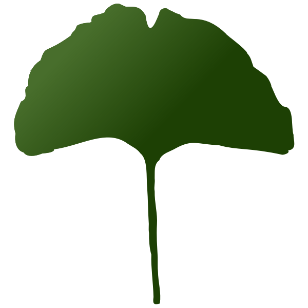 SVG Gingko leaf