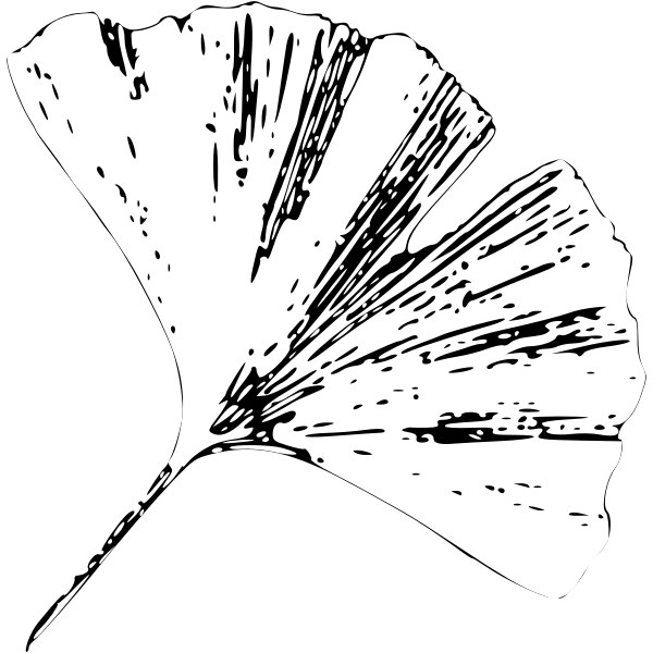 SVG Gingko Leaf E
