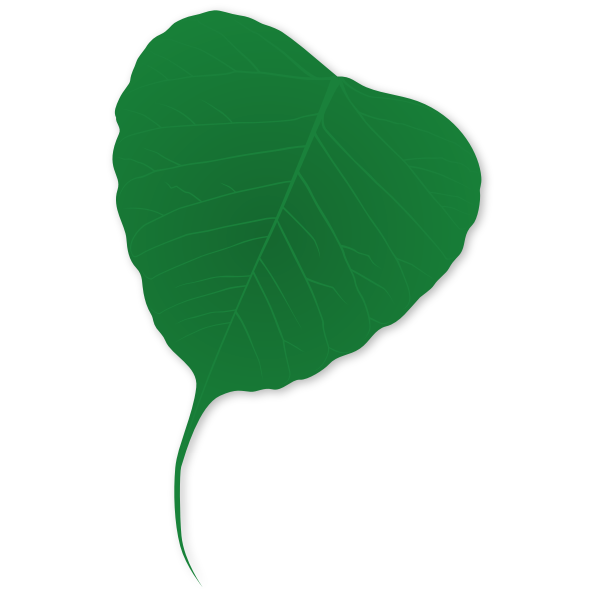 SVG Ginko leaf