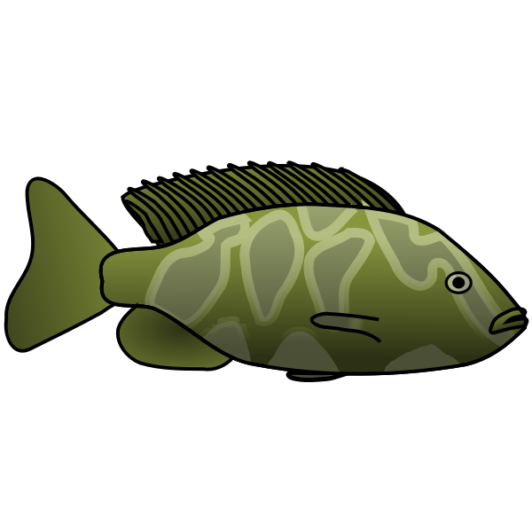 SVG Giraffe Cichlid