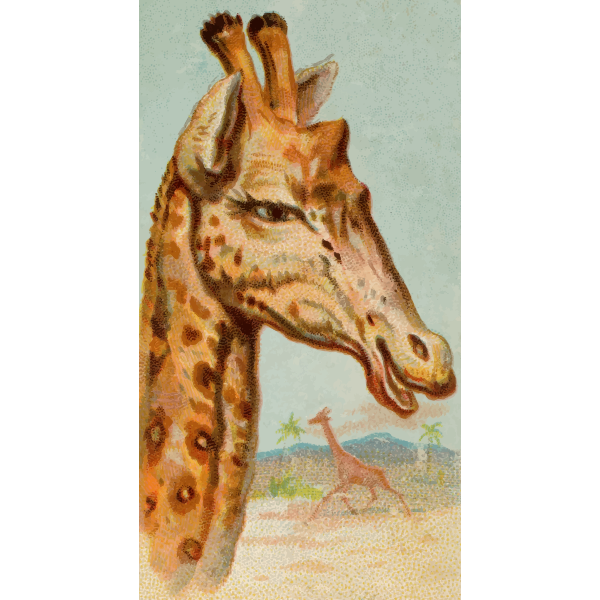 SVG Giraffe illustration