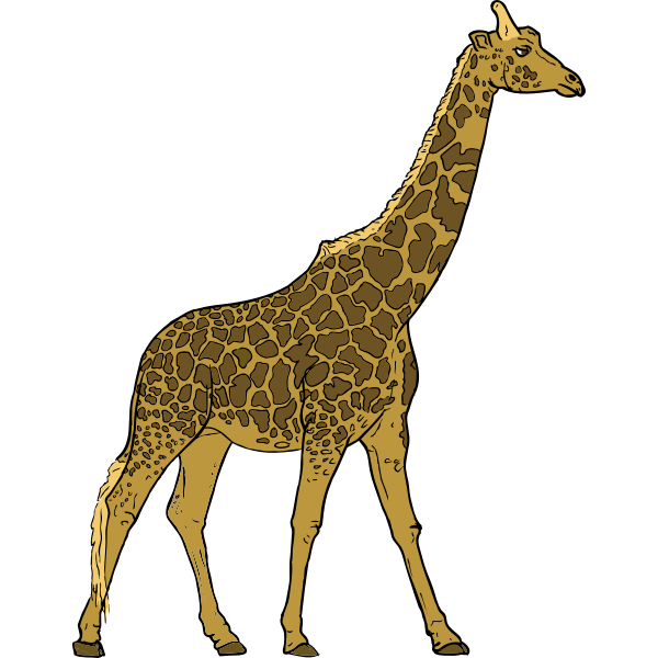 SVG Giraffe image
