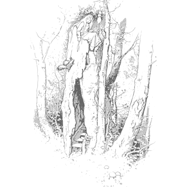 SVG Girl in a tree