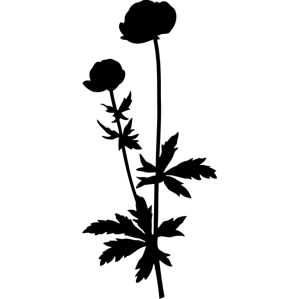 SVG Globe flower silhouette