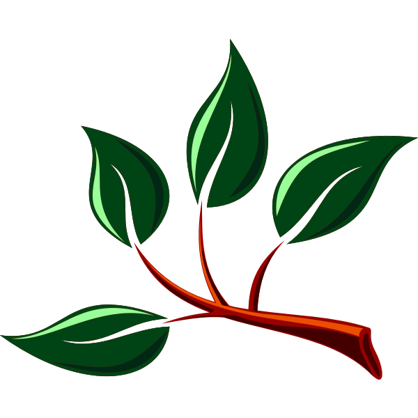 SVG Glossy leaves in a branch
