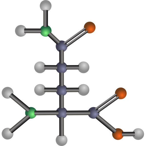 SVG Glutamine amino acid