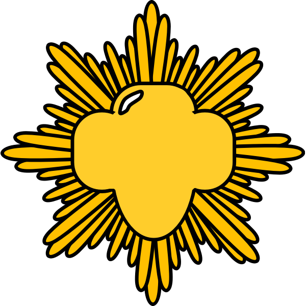 SVG Gold award pin vector image