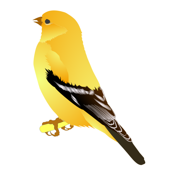 SVG Gold Finch