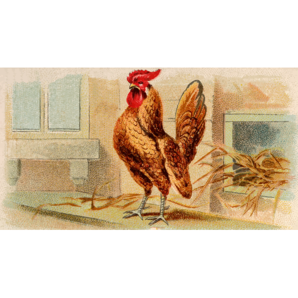 SVG Gold laced bantam