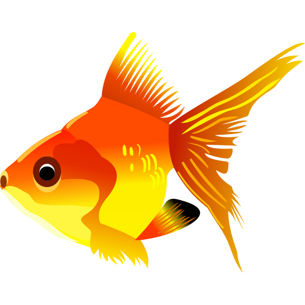 SVG Goldfish vector drawing