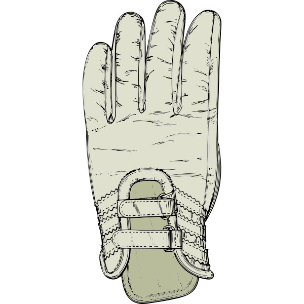 SVG Golf glove vector image