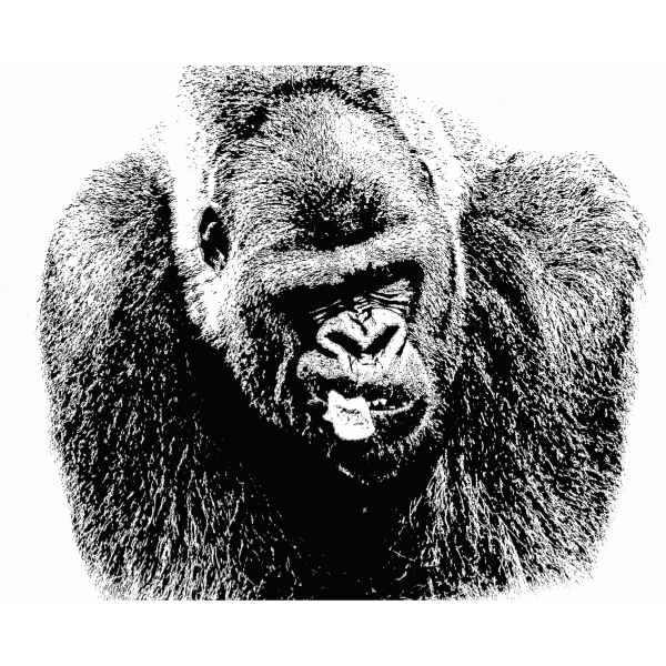 SVG Gorilla drawing