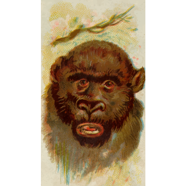 SVG Gorilla039s portrait