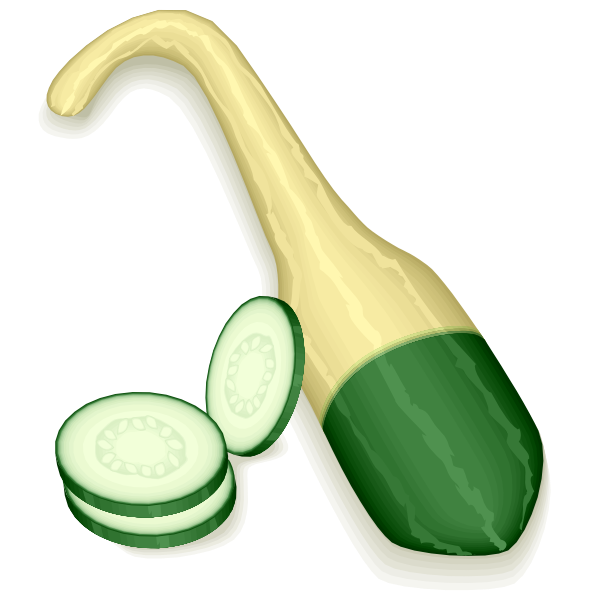 SVG Gourd squash