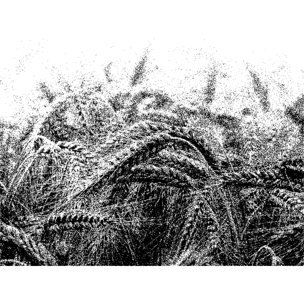 SVG grain 2 2015082925