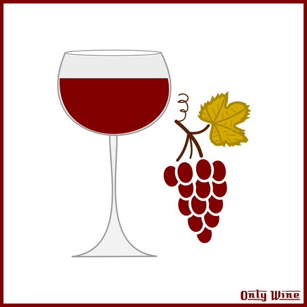 SVG Grapes and wine