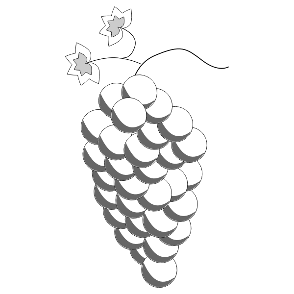 SVG Grapes drawing