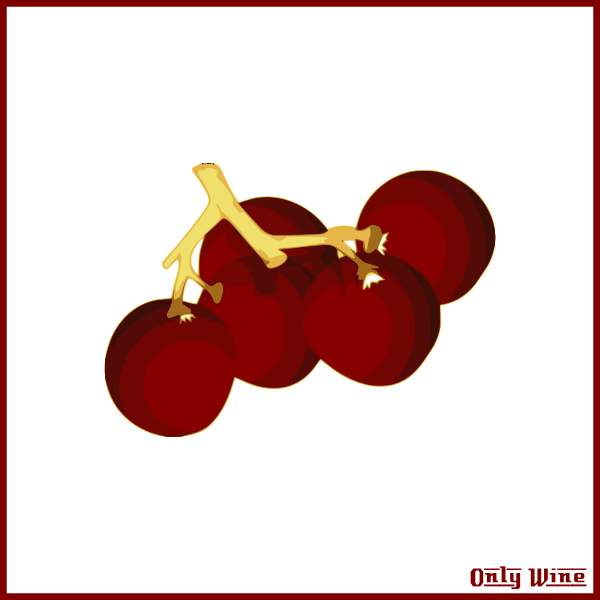 SVG Grapes image