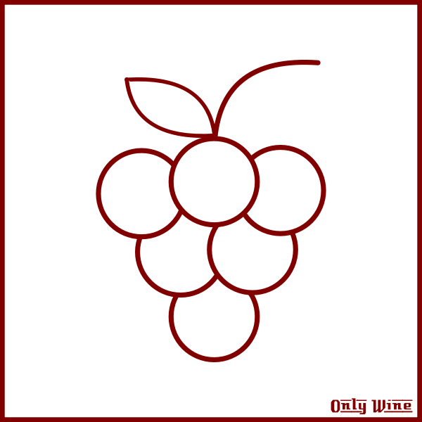 SVG Grapes symbol