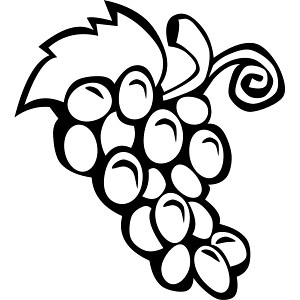 SVG Grapes vector drawing