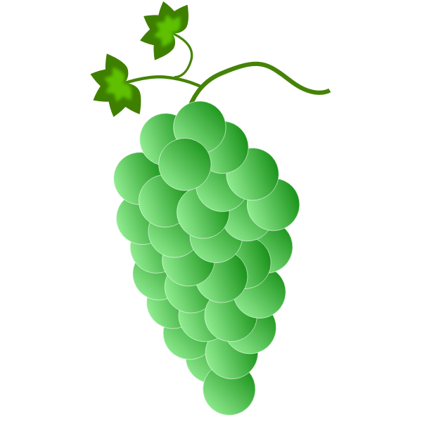 SVG Grapevine