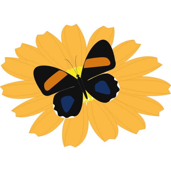 SVG Graphics of black butterfly on an orange flower