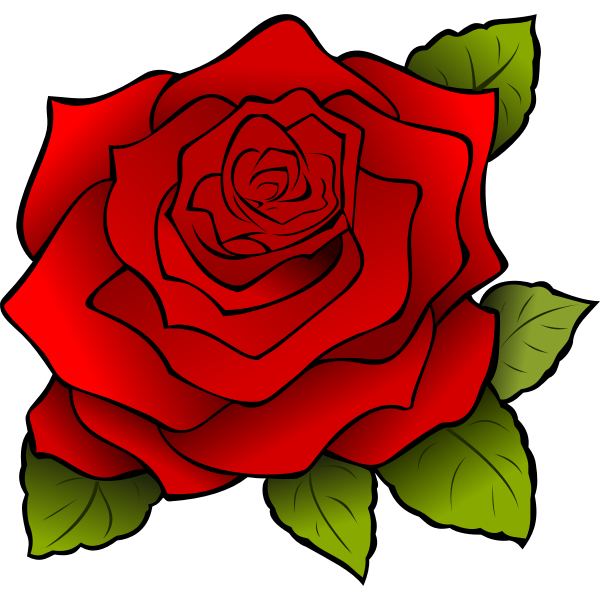 SVG Graphics of blooming rose with black outline