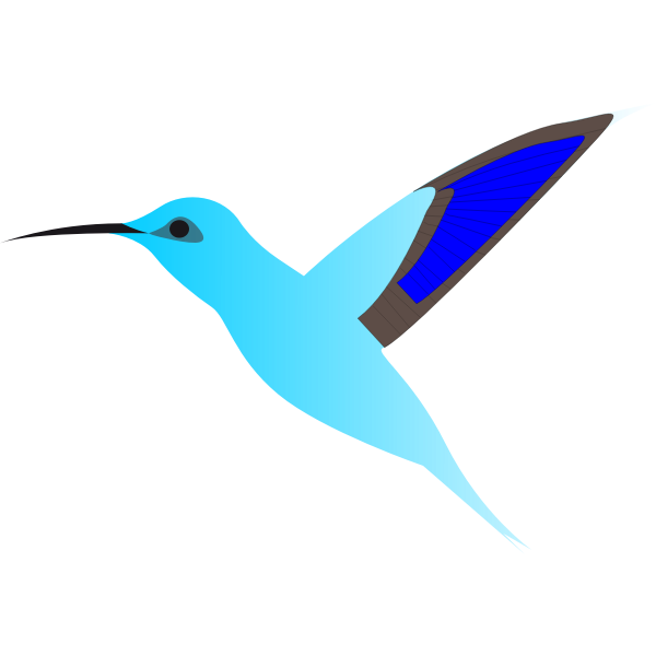 SVG Graphics of humming bird in flight