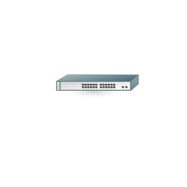 SVG Graphics of simple networking router with 24 switches