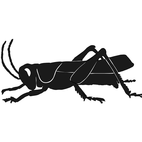 SVG Grashopper silhouette