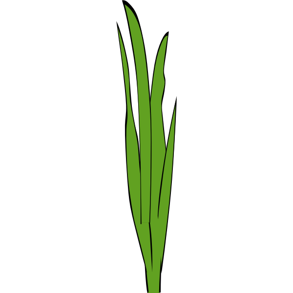 SVG Grass blades and clumps