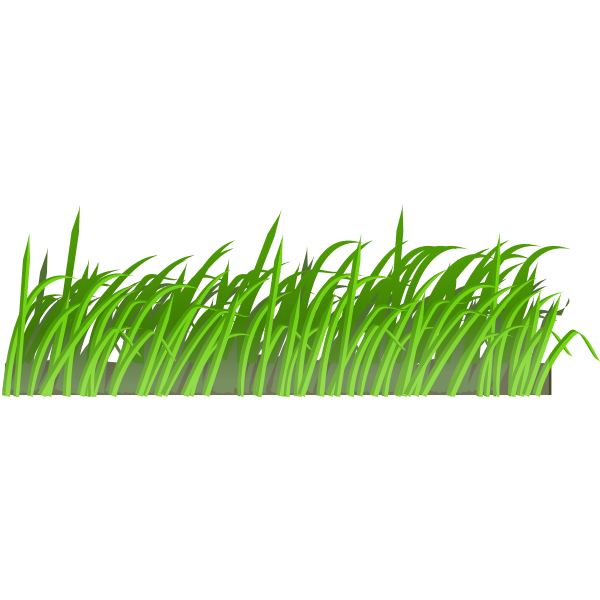 SVG Grass texture-1575459521