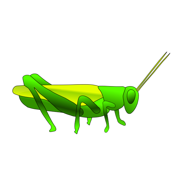 SVG Grasshopper image