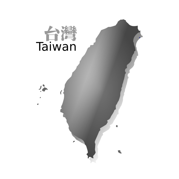 SVG Gray map of Taiwan vector image